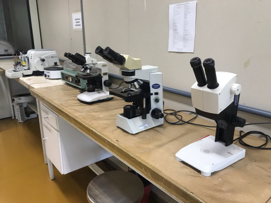 Microscópios e Lupas